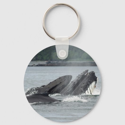 食べ物を与えザトウクジラ キーホルダー (正面)