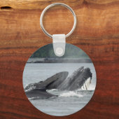 食べ物を与えザトウクジラ キーホルダー (正面)