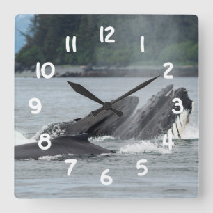 食べ物を与えザトウクジラ スクエア壁時計