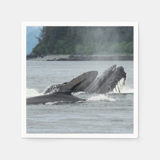 食べ物を与えザトウクジラ スタンダードカクテルナプキン (正面)