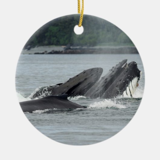 食べ物を与えザトウクジラ セラミックオーナメント (正面)