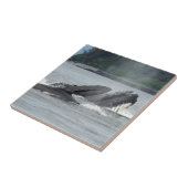 食べ物を与えザトウクジラ タイル (側面)