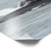 食べ物を与えザトウクジラ フォトプリント (角)