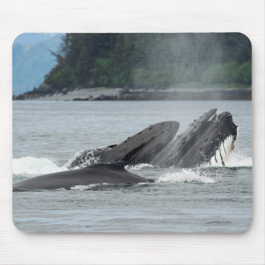 食べ物を与えザトウクジラ マウスパッド (正面)