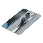 食べ物を与えザトウクジラ マグネット (左側)