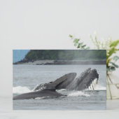 食べ物を与えザトウクジラ 便箋 (スタンド正面)