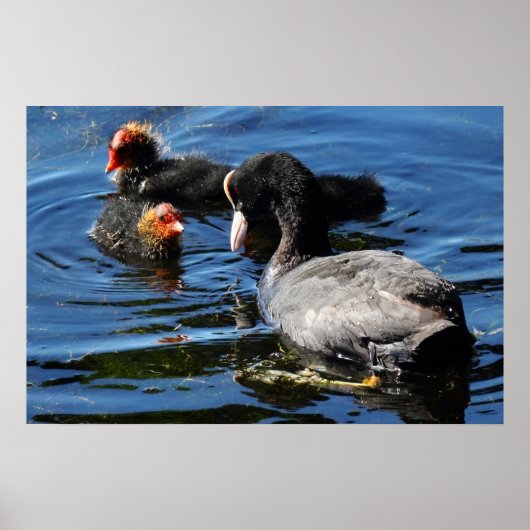 食べ物を与えベビー ポスター (正面)