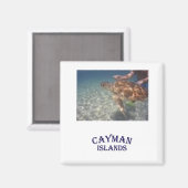 食べ物を与え亀の マグネット (正面/裏面)