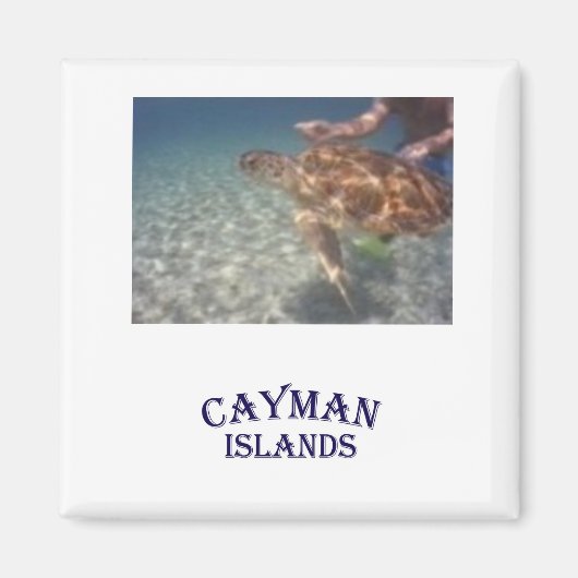 食べ物を与え亀の マグネット (正面)