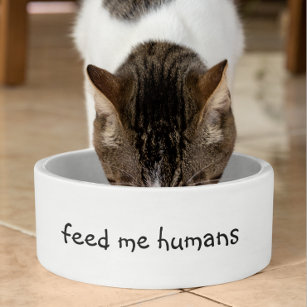 食べ物を与え人間おもしろいユーモア犬猫ペット ボウル