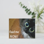 食べ物を与え今！ ポストカード (スタンド正面)