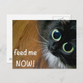 食べ物を与え今！ ポストカード (正面/裏面)