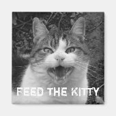 食べ物を与え子猫Crabby Cat Magnet マグネット (正面)