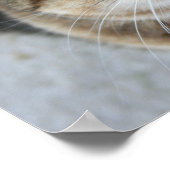 「食べ物を与え私」準ポスター ポスター (角)