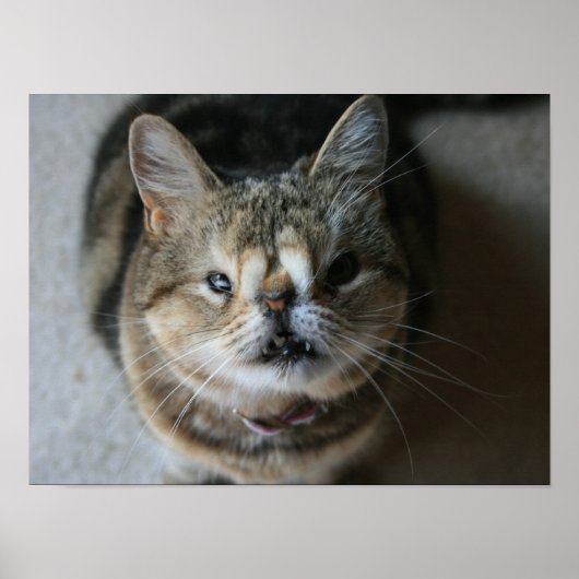 「食べ物を与え私」準ポスター ポスター (正面)