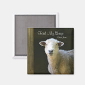 食べ物を与え羊 マグネット (正面/裏面)