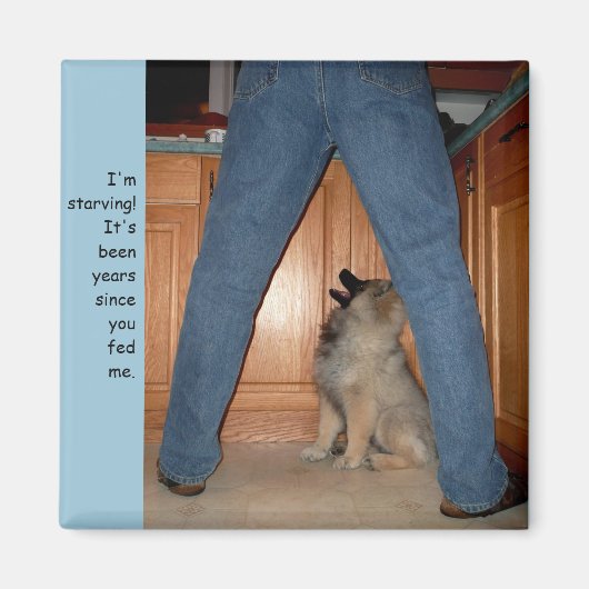 食べ物を与え飢えた犬の磁石 マグネット (正面)