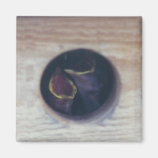 食べ物を与え!-マグネット マグネット (正面)