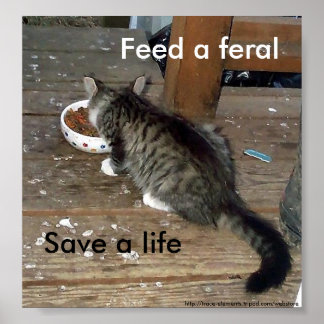 「食べ物を与えA Feral, 救 a Life」というファラルの子猫ポスター ポスター