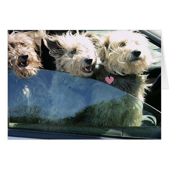 食べ物を中国の待つ (正面横)