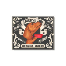 食べ物を求めるかわいいダックスフント