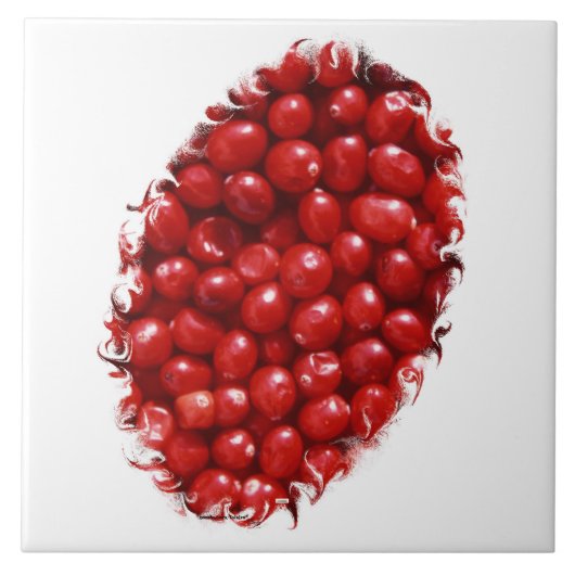 食べ物 タイル (正面)