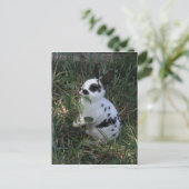 食べ物 ポストカード (スタンド正面)