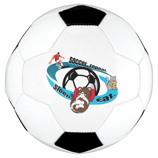 食べ眠るサッカーを繰り返す サッカーボール (正面)