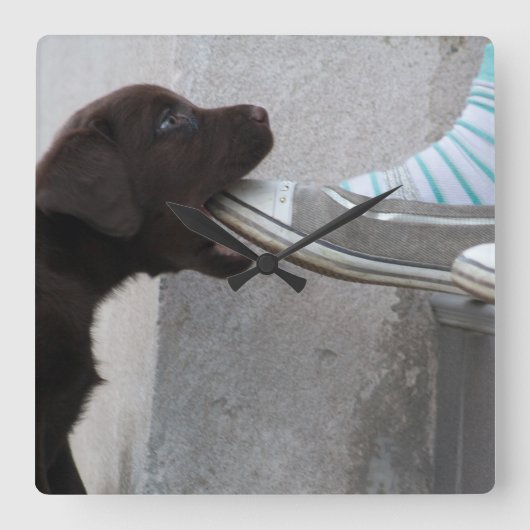 食べ靴！ラブラドール子犬 スクエア壁時計 (正面)