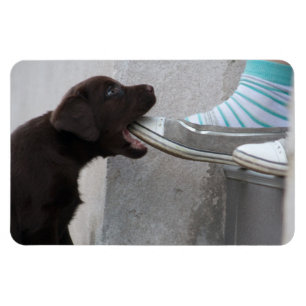 食べ靴!ラブラドール子犬 マグネット