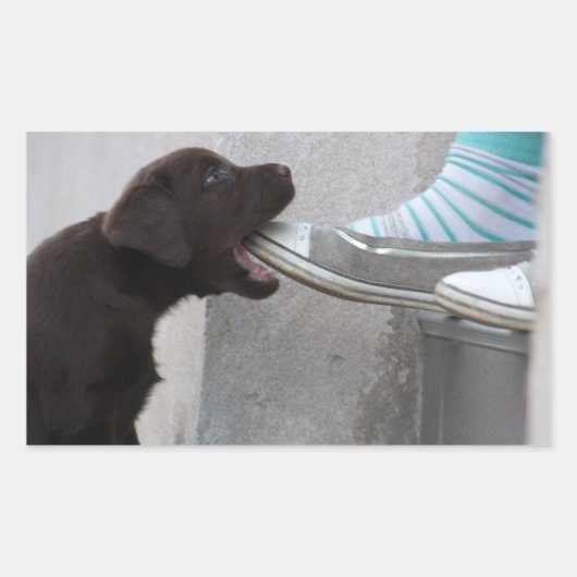 食べ靴！ラブラドール子犬 長方形シール (正面)