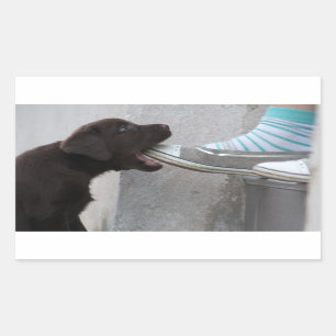 食べ靴!ラブラドール子犬 長方形シール