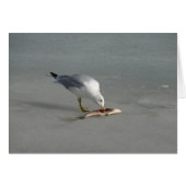 食べ魚 (正面横)