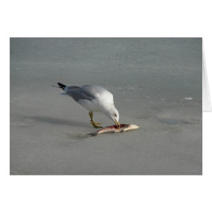 食べ魚