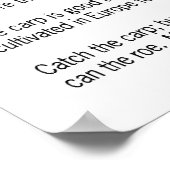 食べ鯉！ ポスター (角)