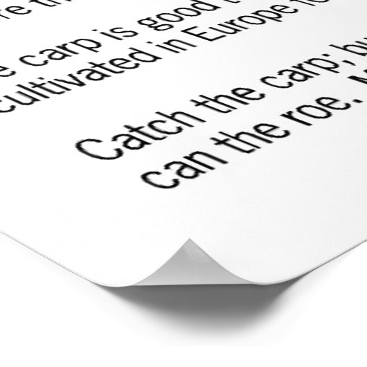 食べ鯉! ポスター (角)