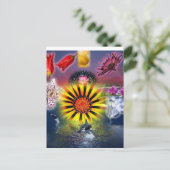 食べ ポストカード (スタンド正面)