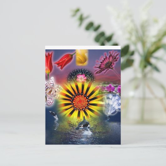 食べ ポストカード (スタンド正面)