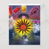 食べ ポストカード (正面)