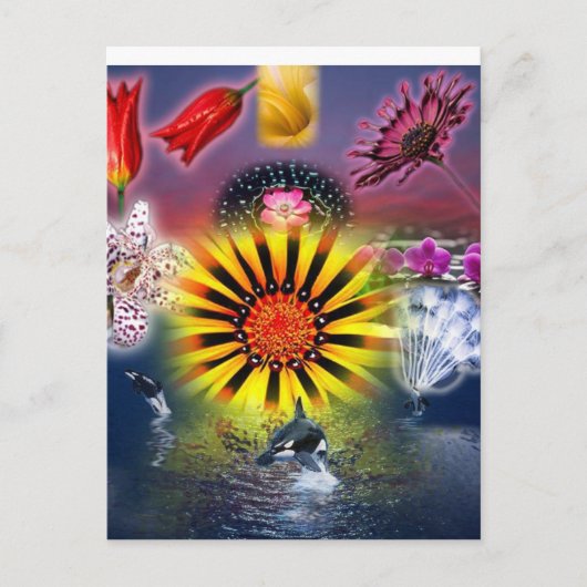 食べ ポストカード (正面)