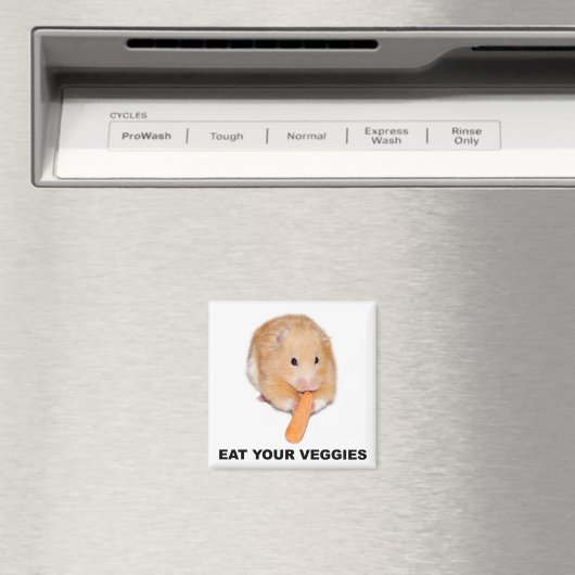 食べ マグネット (インサイチュ (食洗機))