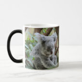 食べ.眠れ。 – このコアラ熊はこんな日を過ごし忙した! モーフィングマグカップ (左)