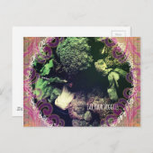食べVeggies ポストカード (正面/裏面)