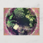 食べVeggies ポストカード (正面)