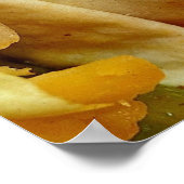 食を愛する人のための美しいブリトレシピ ポスター (角)