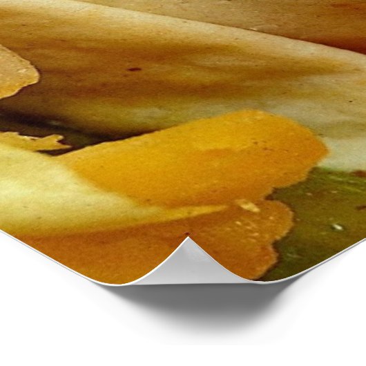 食を愛する人のための美しいブリトレシピ ポスター (角)