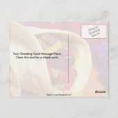 食を愛する人のための美しいブリトレシピ ポストカード (裏面)