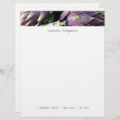 食モダンカラフル品 レターヘッド (正面/裏面)