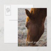 食事の時間 サンキュー ポストカード (正面/裏面)