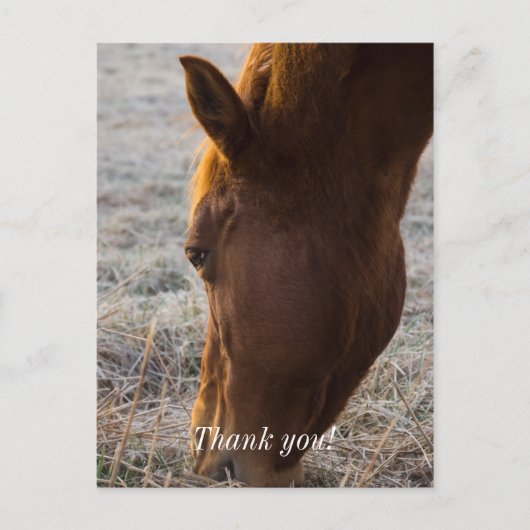 食事の時間 サンキュー ポストカード (正面)